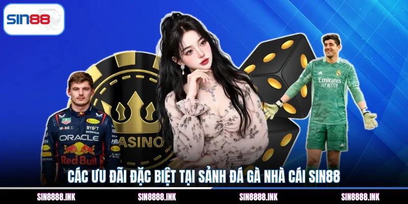 Các ưu đãi đặc biệt tại sảnh đá gà nhà cái SIN88