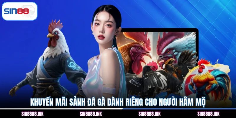 Khuyến mãi sảnh đá gà dành riêng cho người hâm mộ