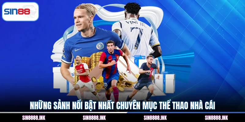 Những sảnh nổi bật nhất chuyên mục thể thao nhà cái